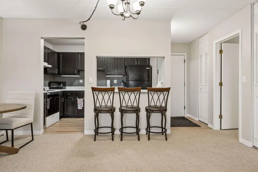 10411 Cedar Lake Road #515, Hopkins, MN 55305 - #2