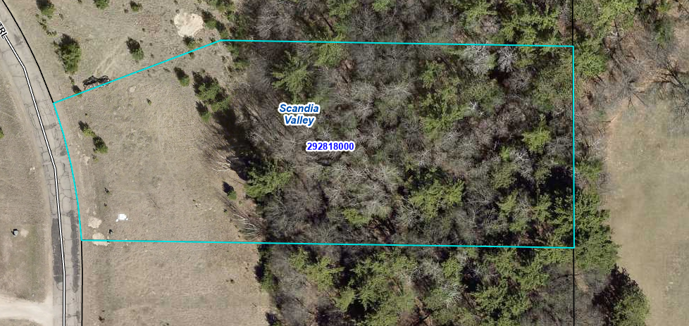 TBD Telemark Trail, Cushing, MN 56443 - #1
