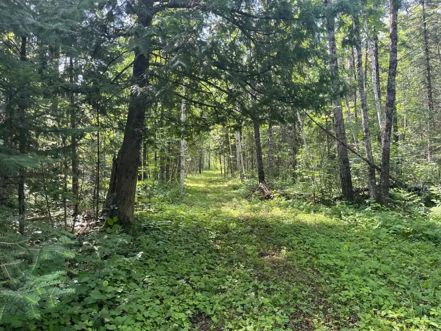 1961 Town Road 118, Birchdale, MN 56629 - #3