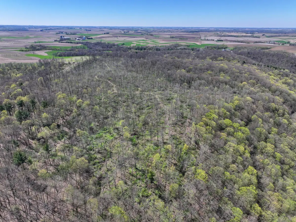 tbd Tierney Drive, Elba, MN 55910 - #1