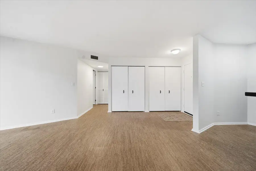 210 W Grant Street #222, Minneapolis, MN 55403 - #2