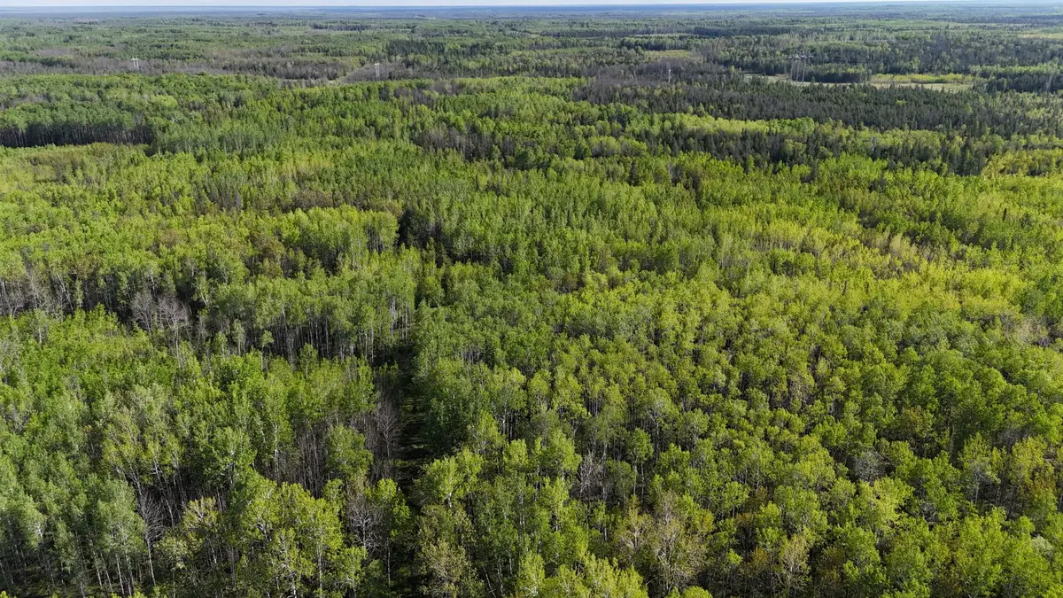 TBD Town Road 118, Birchdale, MN 56629 - #1