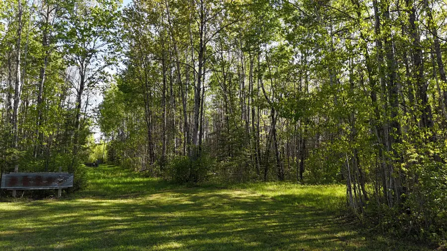 TBD Town Road 118, Birchdale, MN 56629 - #2