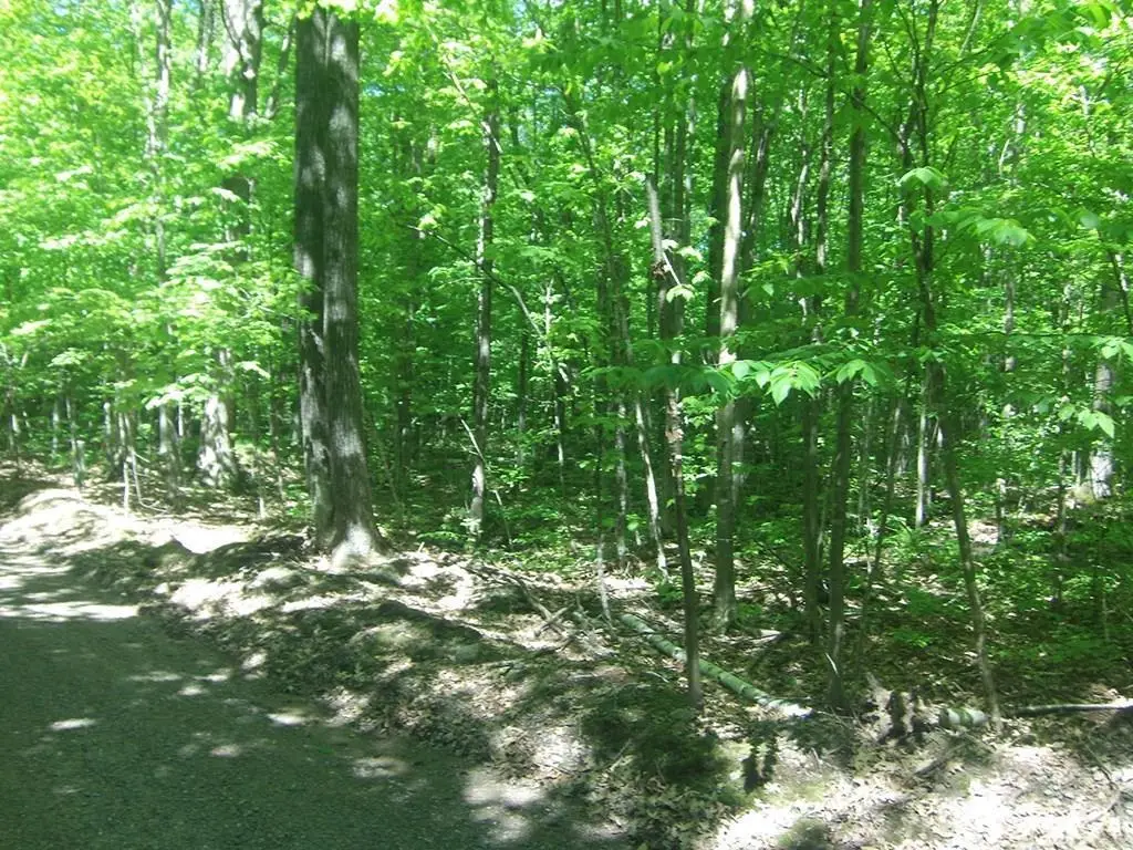 4.85 Acres Joes Road, Conrath, WI 54731 - #1