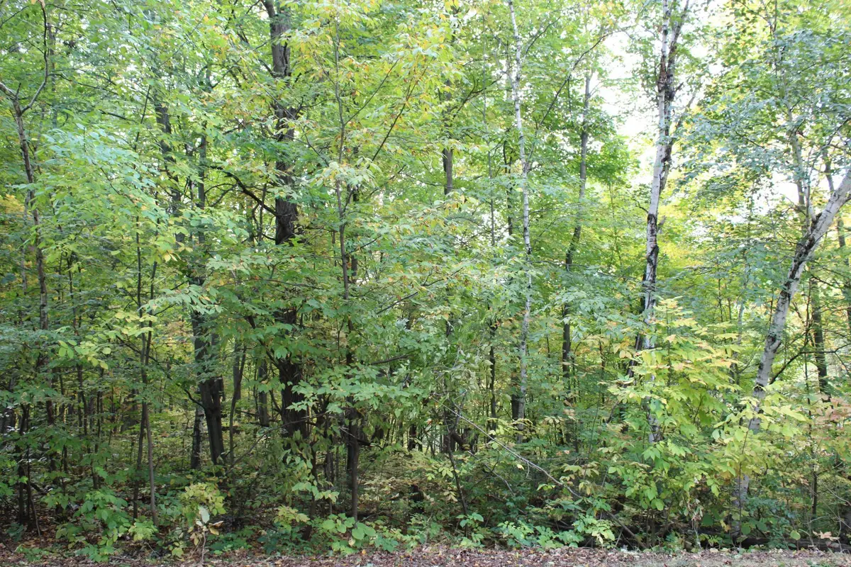 000 St Croix Trail, Taylors Falls, MN 55084 - #1