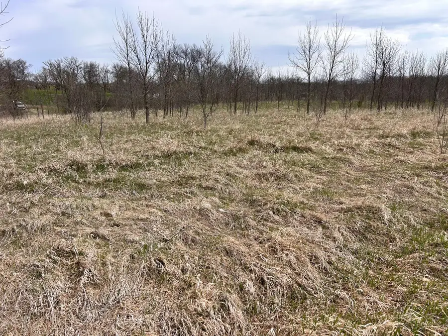 Lot 20 215th Street, Barrett, MN 56311 - #3