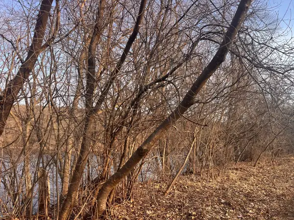 5xx River Street, Taylors Falls, MN 55084