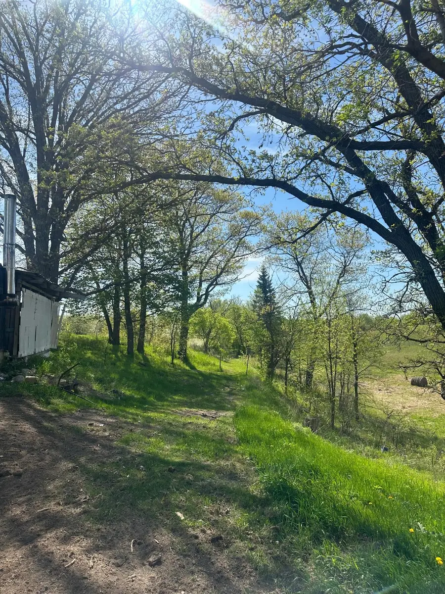 16166 510th Avenue, Menahga, MN 56464 - #2