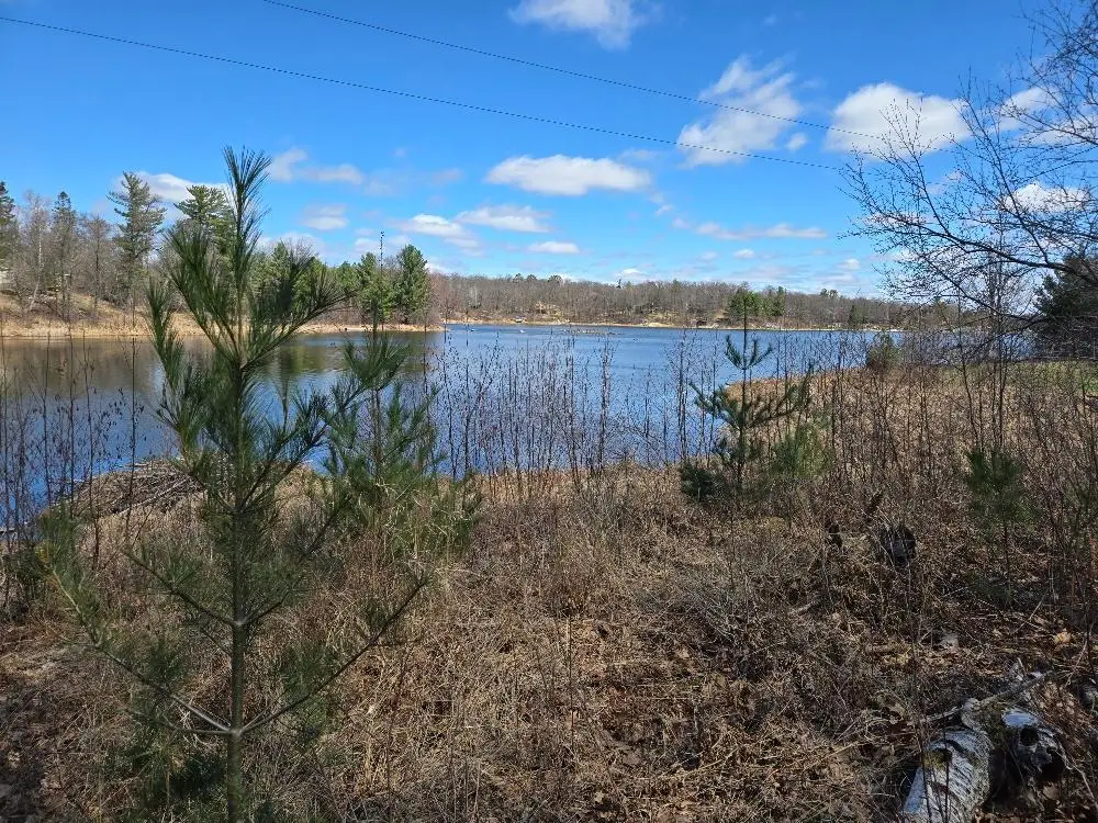 1470 Cardinal Lane Ne, Longville, MN 56655 - #1