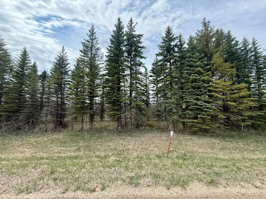 XXX 245th Ave, Glenwood, MN 56334 - #2