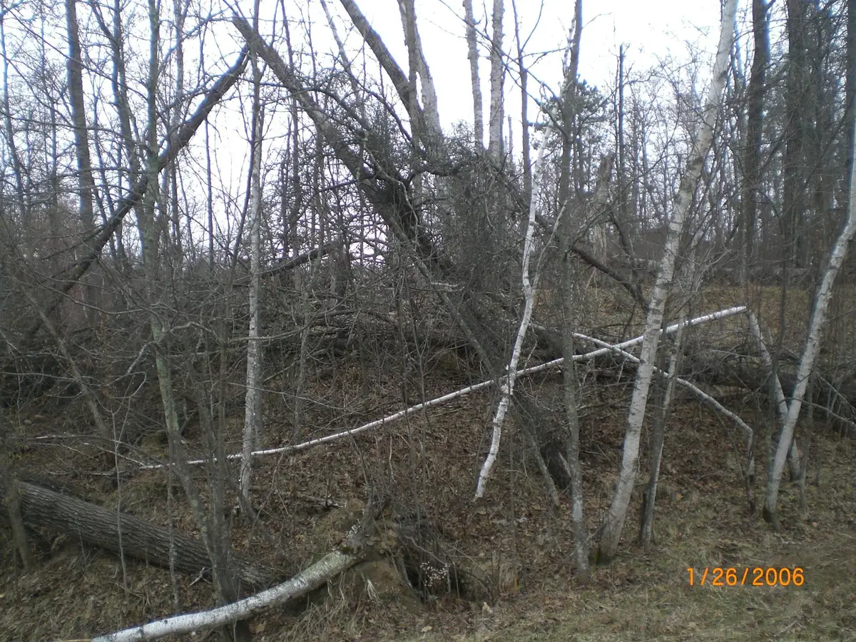Lot 18 Terminal Road, Breezy Point, MN 56472 - #1