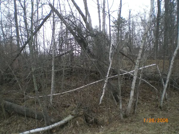 Lot 18 Terminal Road, Breezy Point, MN 56472