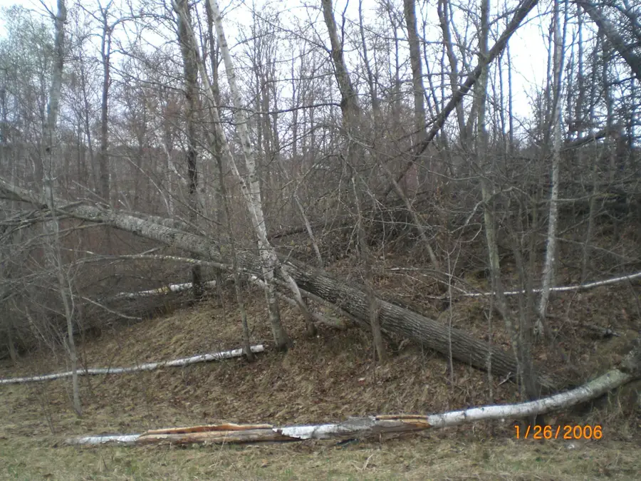 Lot 18 Terminal Road, Breezy Point, MN 56472 - #2
