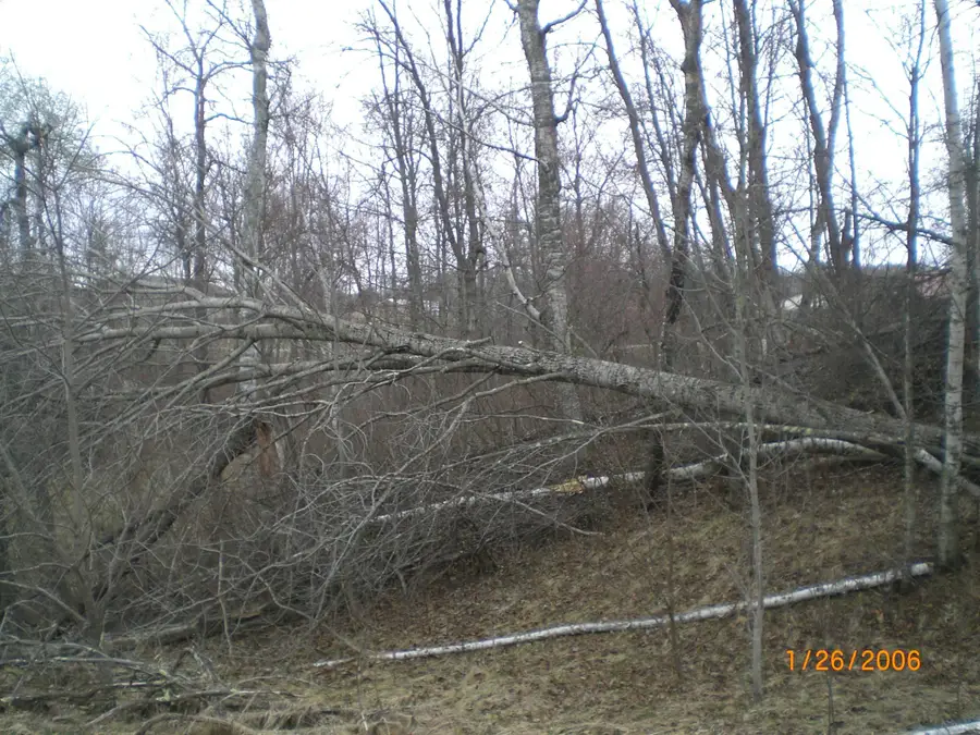 Lot 18 Terminal Road, Breezy Point, MN 56472 - #3