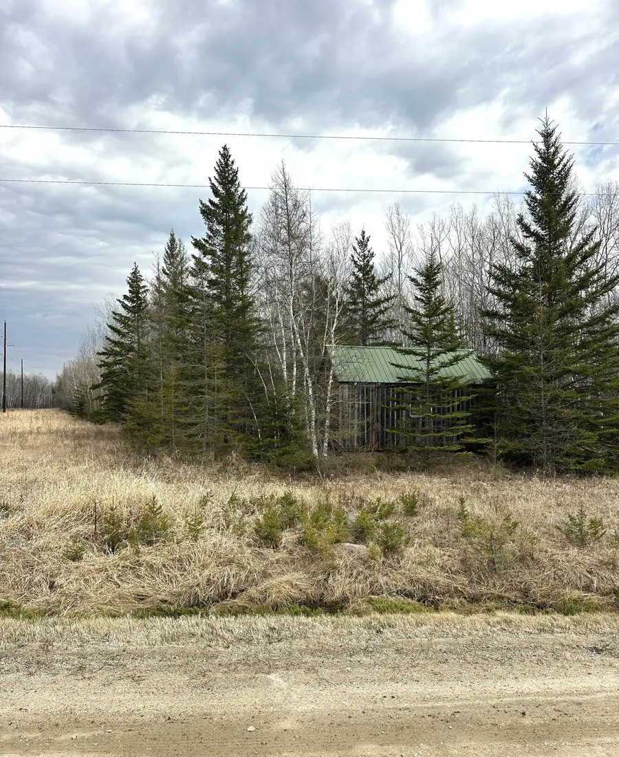 1656 78th Avenue Nw, Williams, MN 56686 - #3
