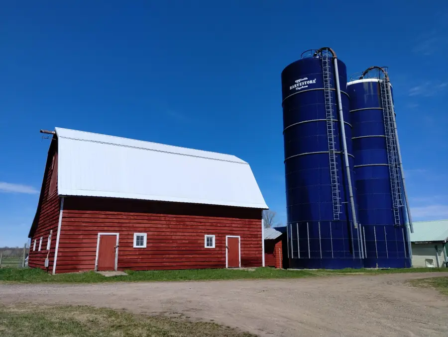 18134 170th Street, Pliny, MN 56350 - #2