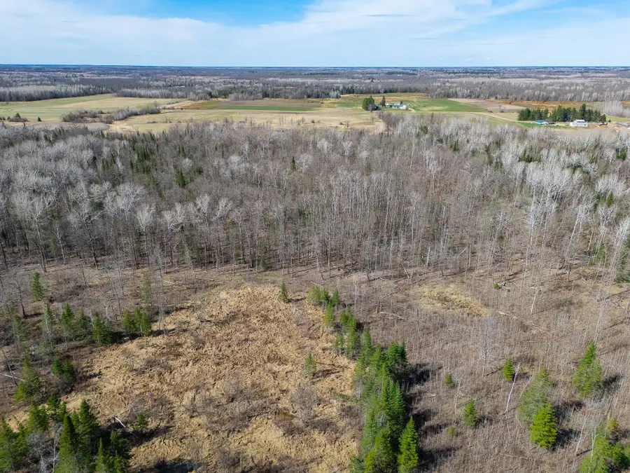 TBD County 63, Boy River, MN 56672 - #3