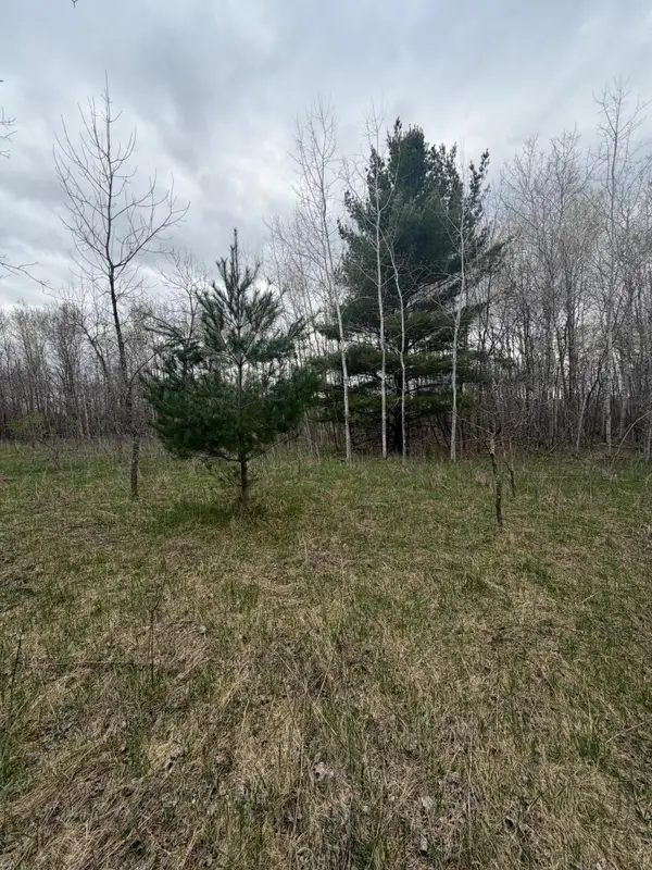 TBD Ottawa, Browerville, MN 56438