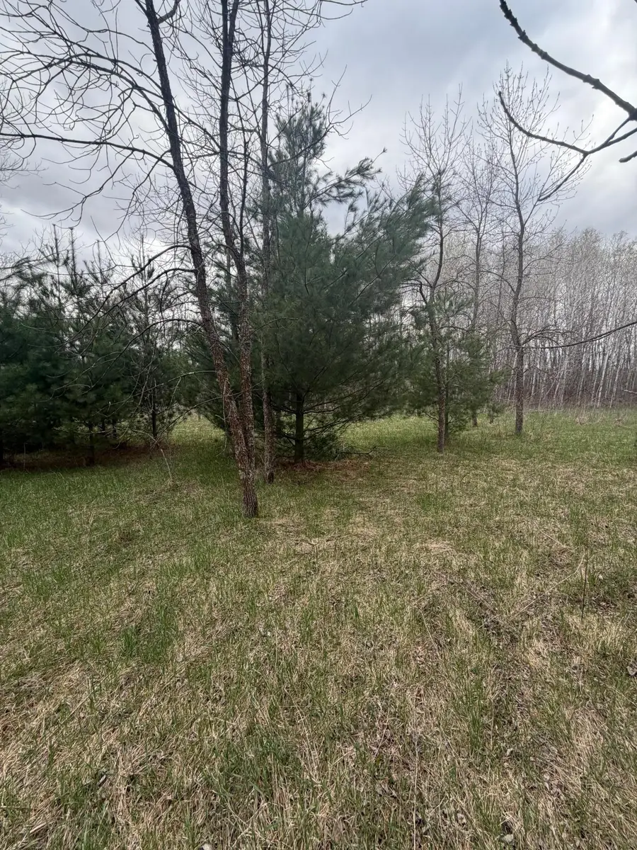 TBD Ottawa, Browerville, MN 56438 - #3