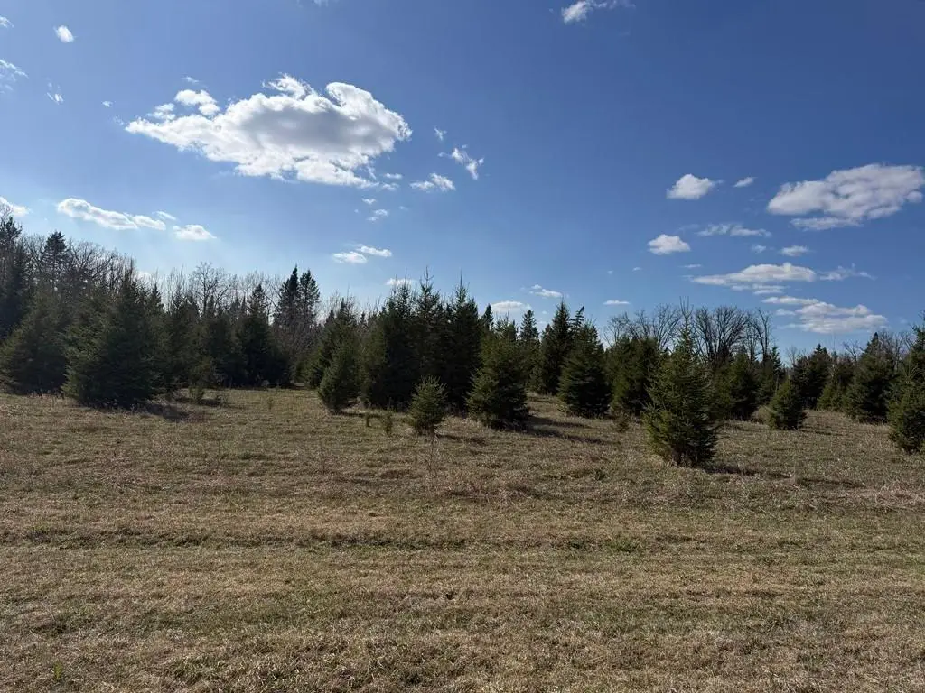 55000 Kueber Road, Park Rapids, MN 56470 - #1