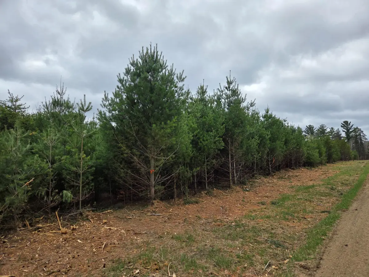 TBD 450th St - Parcel A, Laporte, MN 56461 - #1