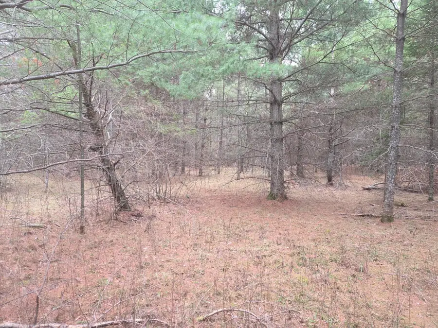 TBD 450th St - Parcel C, Laporte, MN 56461 - #2