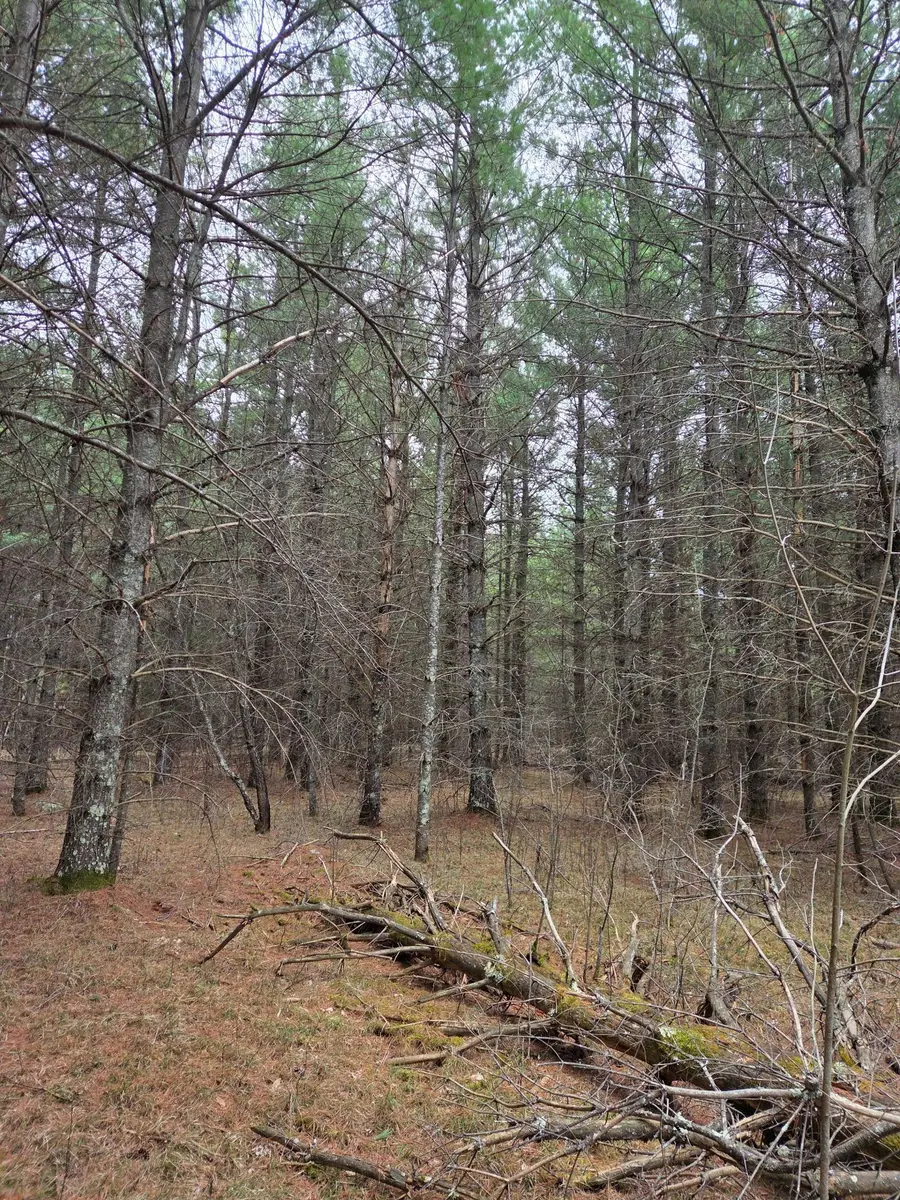 TBD 450th St - Parcel C, Laporte, MN 56461 - #3