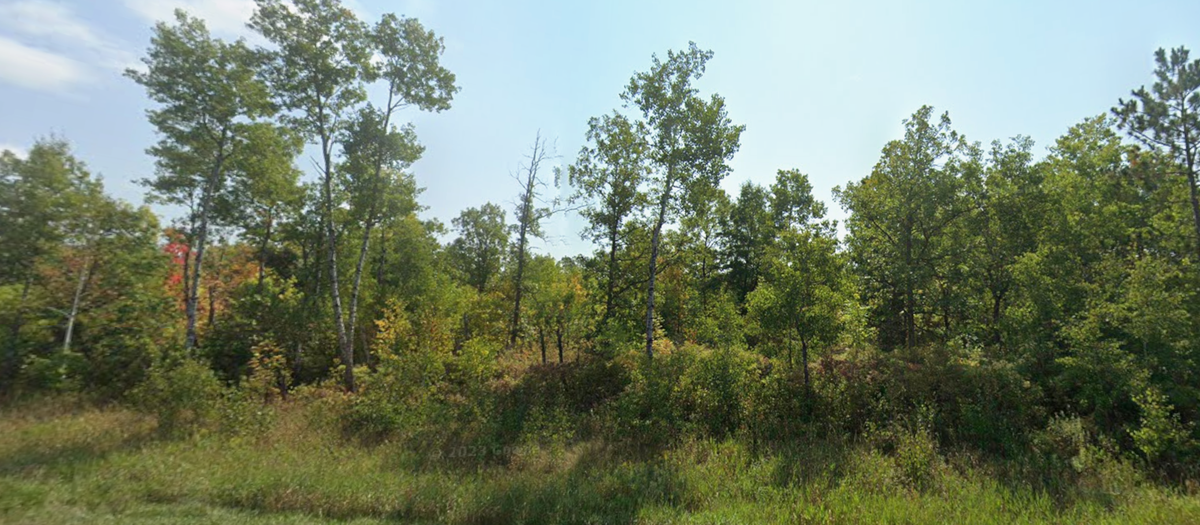 56829 Croix Lane E, Pine City, MN 55063 - #1