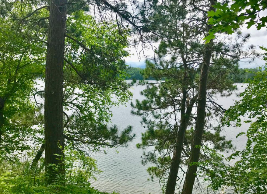 38284 Ox Lake Landing, Crosslake, MN 56442 - #3