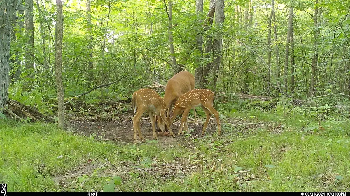45527/45609 Fox Road, Hinckley, MN 55037 - #1