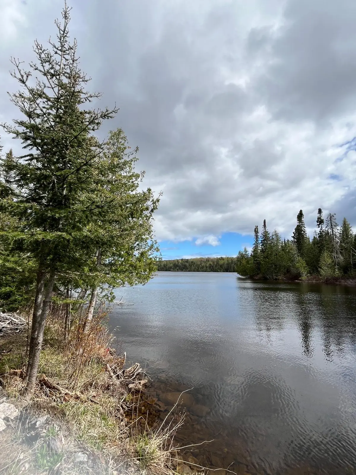 100 Wilderness Trail, Hovland, MN 55606 - #1