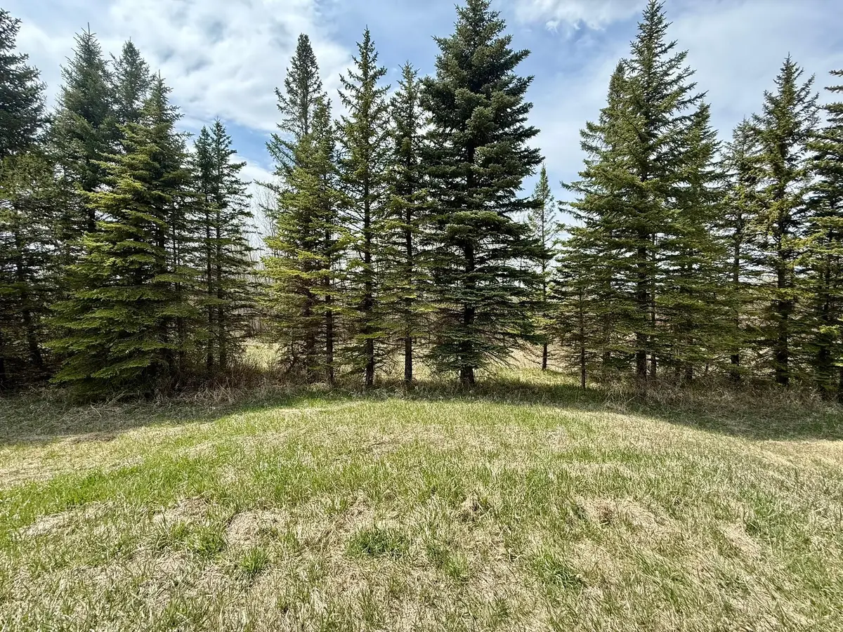 16025 245th Avenue, Glenwood, MN 56334 - #1