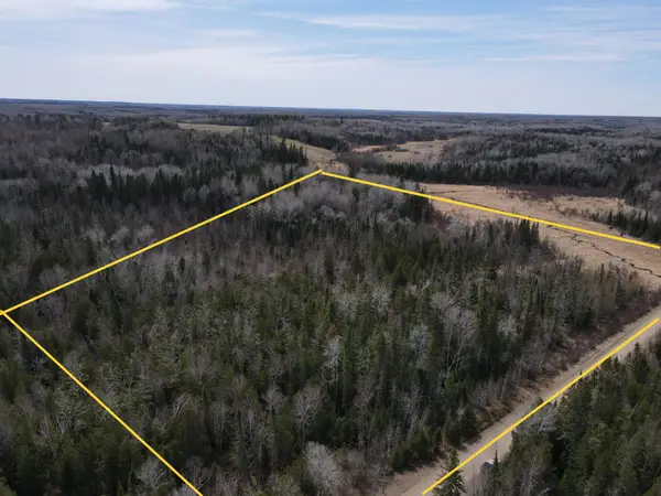 TBD Co Rd 40, Effie, MN 56639