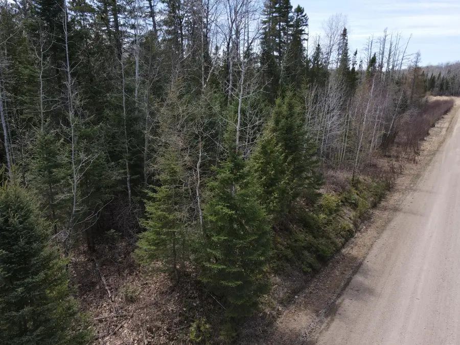 TBD Co Rd 40, Effie, MN 56639 - #3