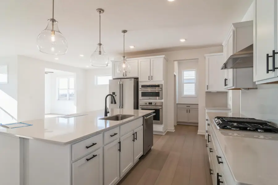 20141 Ginseng Way, Lakeville, MN 55044 - #3