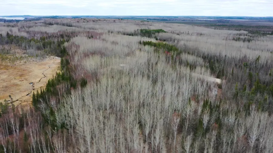 TBD Parcel 15 Hwy 115, Tower, MN 55790 - #2