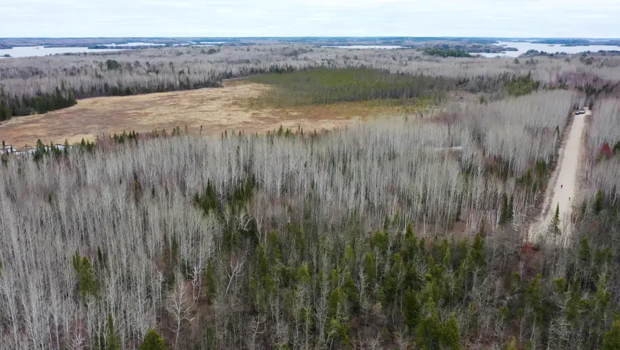 TBD Parcel 15 Hwy 115, Tower, MN 55790 - #3