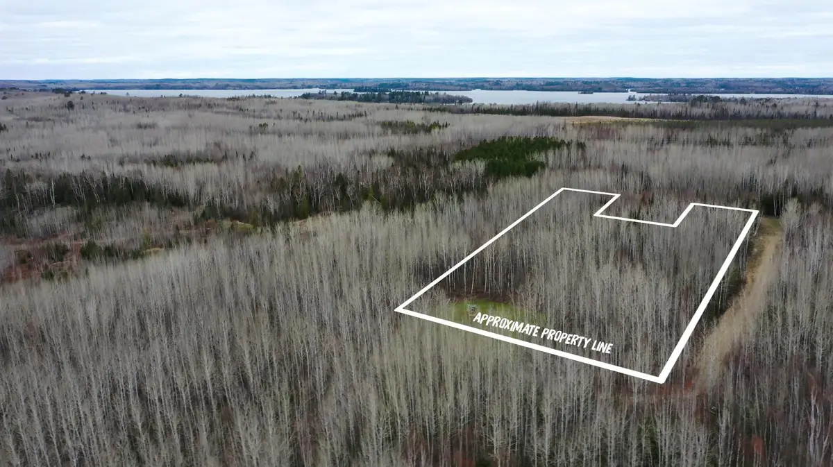 TBD Parcel 20 Hwy 115, Tower, MN 55790 - #1