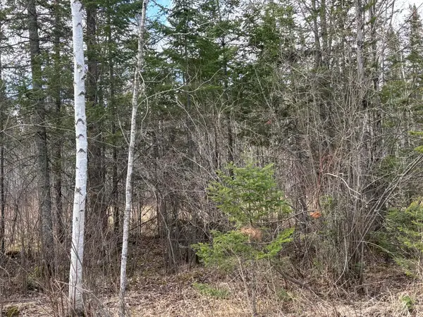 5358 E Four Corners Road, Cromwell, MN 55726