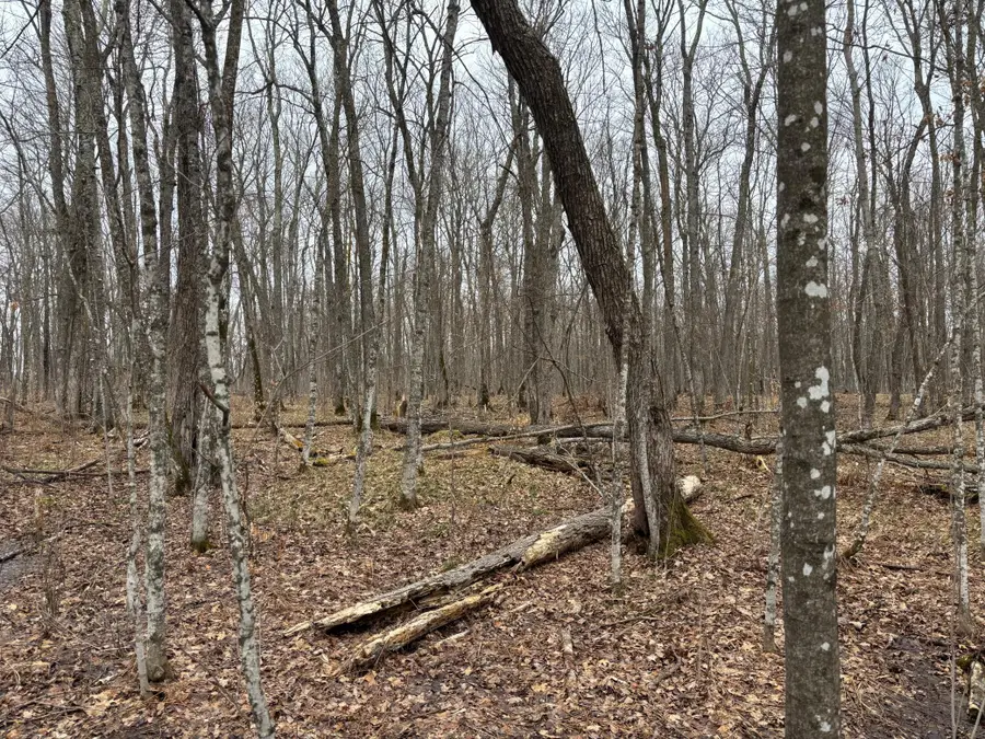 TBD 235th Place, McGregor, MN 55760 - #3