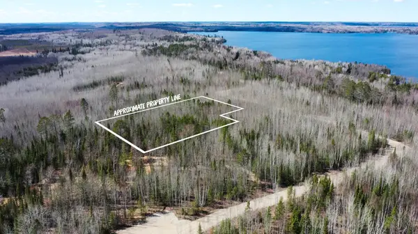 TBD Parcel F Frazer Bay Road, Cook, MN 55723