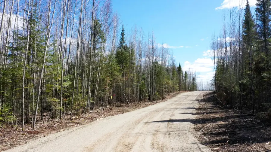 TBD Parcel W Frazer Bay Road, Cook, MN 55723 - #3