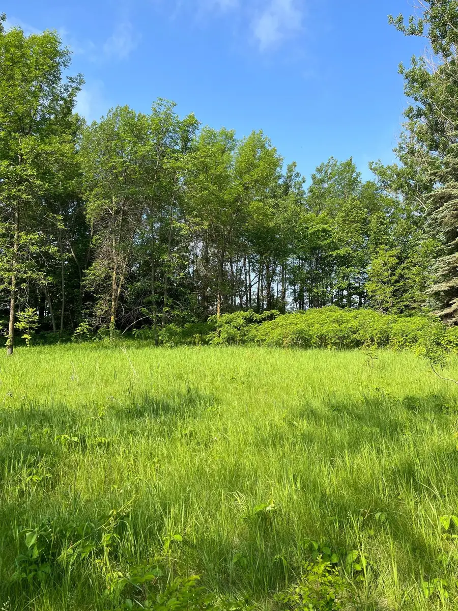 TBD Wild Rose Trail, Frazee, MN 56544 - #2