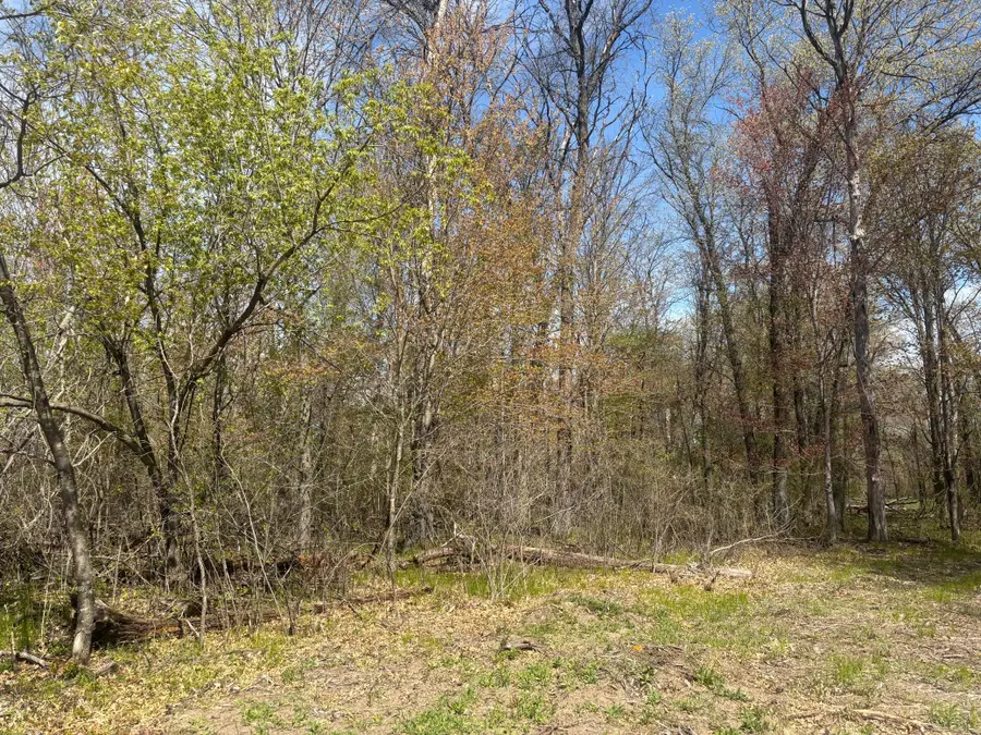 TBD 151st Street Nw, Princeton, MN 55371 - #3