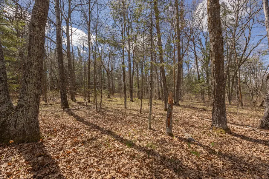 8891 Boy Lake Drive Ne, Remer, MN 56672 - #3