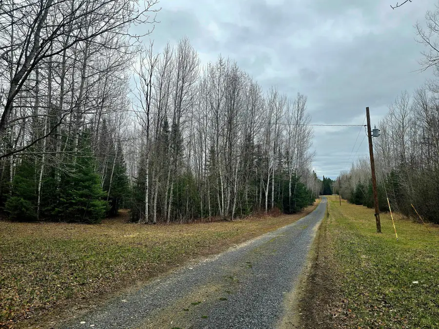 9464 Highway 53, Kabetogama, MN 56669 - #3