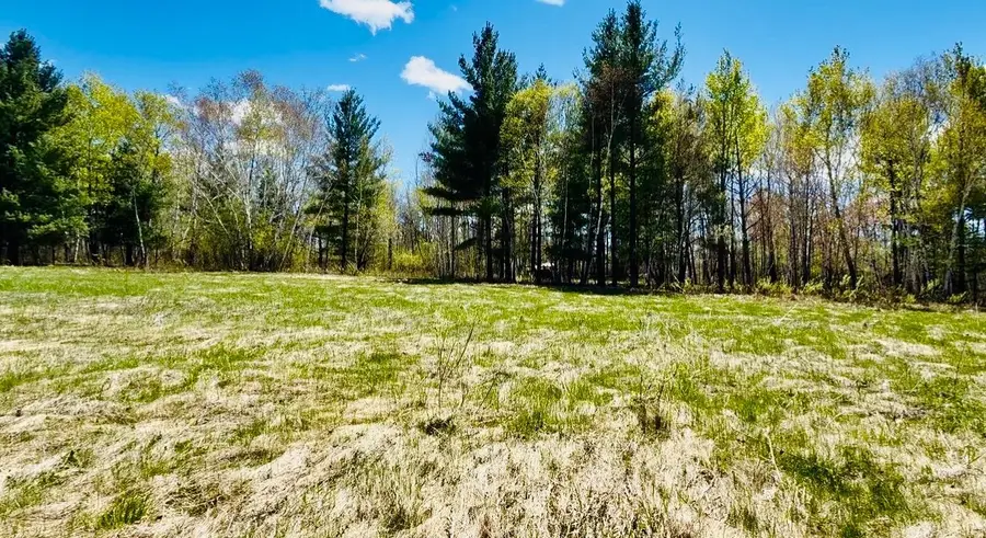 TBD Ivy Rd., Borgholm, MN 56353 - #2