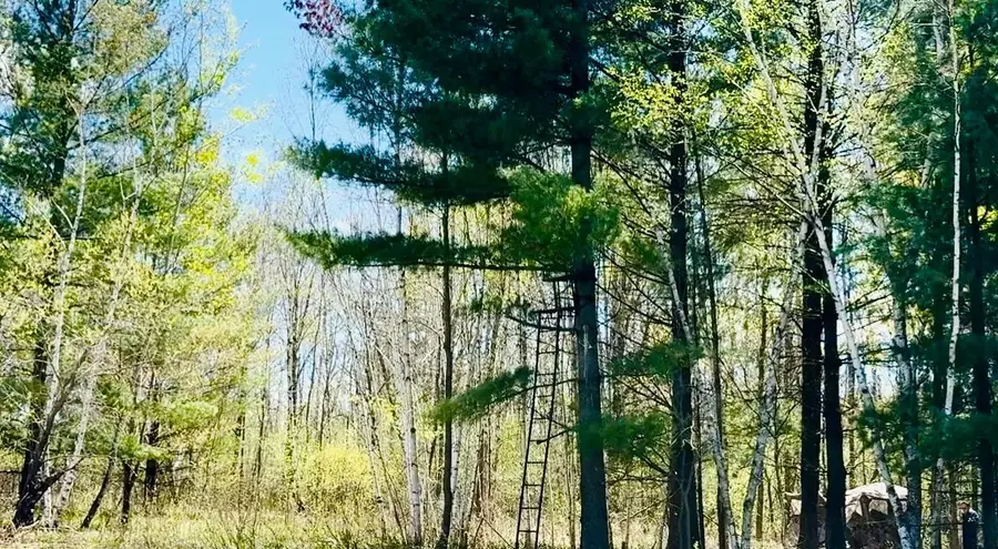 TBD Ivy Rd., Borgholm, MN 56353 - #3
