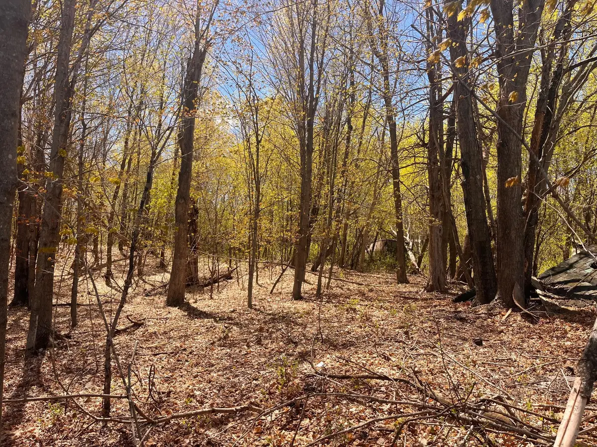 1812 300th Ave, Frederic, WI 54837 - #1