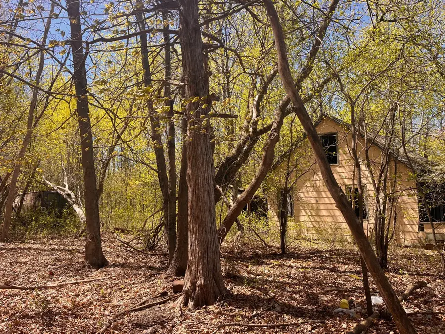 1812 300th Ave, Frederic, WI 54837 - #3